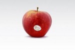 W nowym sezonie sprzedaż może utrudnić słaba jakość jabłek